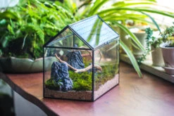Handmade Close House-shaped Glass Terrarium Enclosure, With Acrylic Mesh Vent, For Jumping Spider, Snail Habitat, Terrarium Only -Terrarium Plant Hub IMG 8270