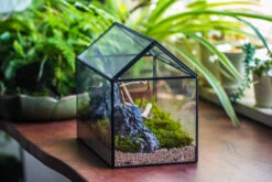 Handmade Close House-shaped Glass Terrarium Enclosure, With Acrylic Mesh Vent, For Jumping Spider, Snail Habitat, Terrarium Only -Terrarium Plant Hub IMG 8271