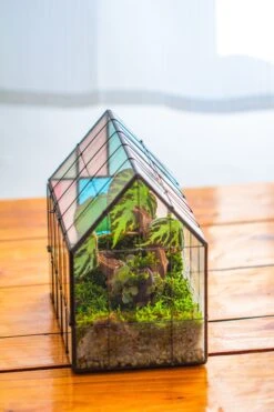 Blue Pink White Stained Glass House Shape Geometric Terrarium, Vintage Style, Close -Terrarium Plant Hub IMG 8275 0c07b109 a2a8 4c77 9242 3b709f3e3c6d