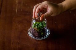 3 Units Mini Bell Shape Glass Cloche Dome With Beaded Decorative Base 9.5x14cm -Terrarium Plant Hub IMG 8277