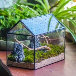 Handmade Close House-shaped Glass Terrarium Enclosure, With Acrylic Mesh Vent, For Jumping Spider, Snail Habitat, Terrarium Only -Terrarium Plant Hub IMG 8280.1