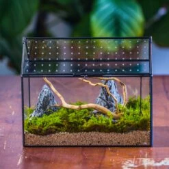 Handmade Close House-shaped Glass Terrarium Enclosure, With Acrylic Mesh Vent, For Jumping Spider, Snail Habitat, Terrarium Only -Terrarium Plant Hub IMG 8287.1