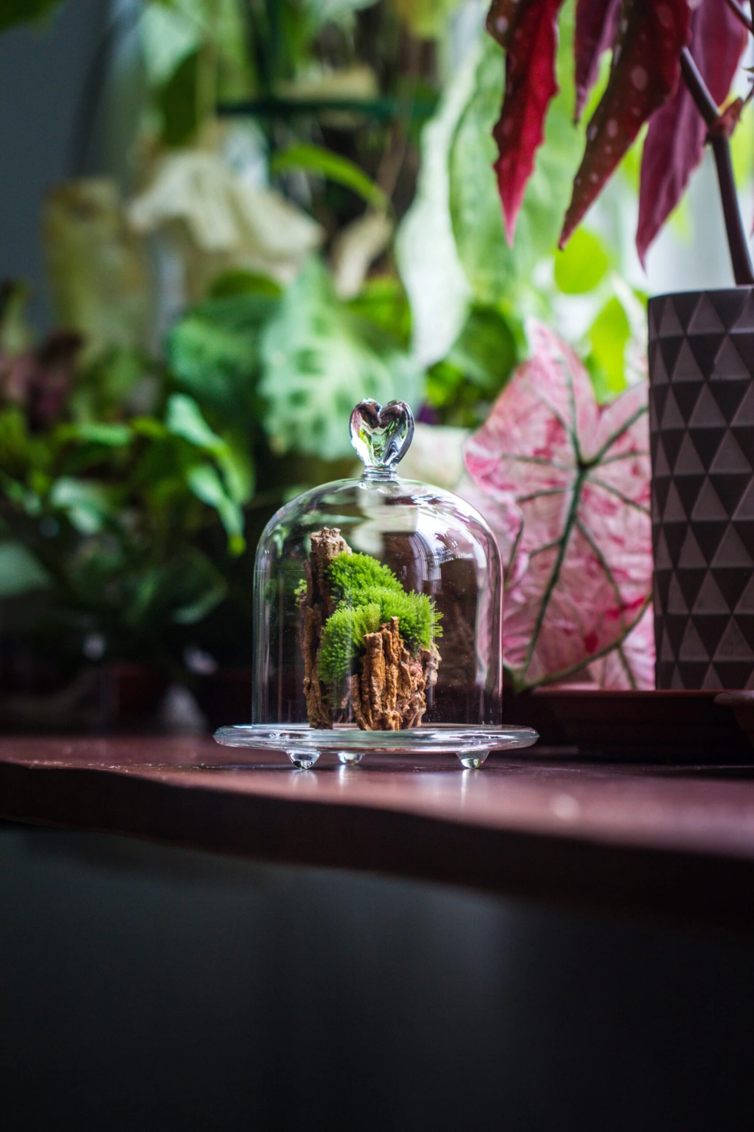 Heart Shape Tip Glass Cloche With Glass Base And Metal Gold Base Set 6 Heart Shape Tip Glass Cloche With Glass Base And Metal Gold Base Set - Image 4