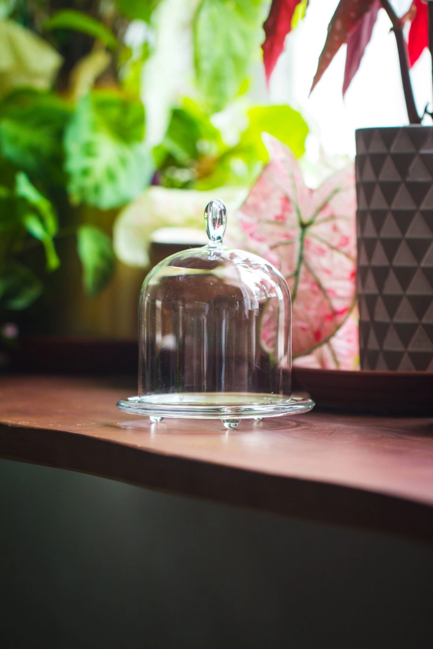Heart Shape Tip Glass Cloche With Glass Base And Metal Gold Base Set 8 Heart Shape Tip Glass Cloche With Glass Base And Metal Gold Base Set - Image 6