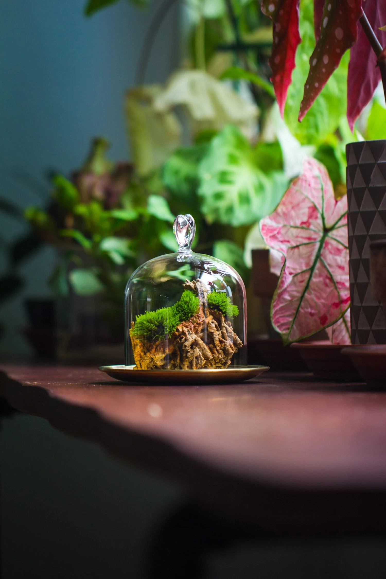 Heart Shape Tip Glass Cloche With Glass Base And Metal Gold Base Set 10 Heart Shape Tip Glass Cloche With Glass Base And Metal Gold Base Set - Image 8