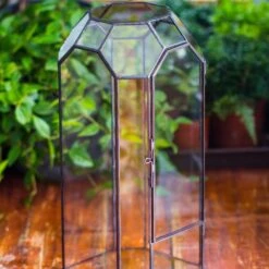 Vintage Tall Octagon Geometric Tin Glass Terrarium , 12.6" , Open, Suitable For Tall Plants, Orchid, Small Begonia Pitcher, Micro Landscape -with Warm Light Set -Terrarium Plant Hub IMG 8371