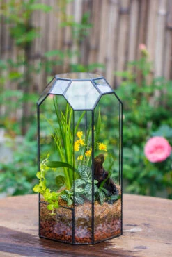Vintage Tall Octagon Geometric Tin Glass Terrarium , 12.6" , Open, Suitable For Tall Plants, Orchid, Small Begonia Pitcher, Micro Landscape -with White Light Set -Terrarium Plant Hub IMG 8441 afaea10a f617 4452 abb3 818d5b114ac7