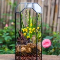 Vintage Tall Octagon Geometric Tin Glass Terrarium , 12.6" , Open, Suitable For Tall Plants, Orchid, Small Begonia Pitcher, Micro Landscape -with Warm Light Set -Terrarium Plant Hub IMG 8452
