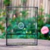 Close Geometric Glass Tin Terrarium With 3 Vents , 8x10" With Side Door, For Insects, Snail , Spider, Micro Landscape 2 Close Geometric Glass Tin Terrarium With 3 Vents , 8x10" With Side Door, For Insects, Snail , Spider, Micro Landscape -Terrarium Plant Hub IMG 8465