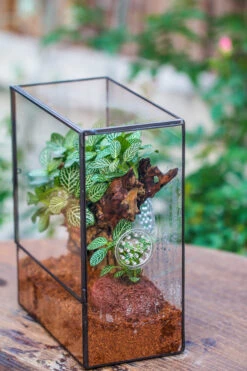 Close Geometric Glass Tin Terrarium With 3 Vents , 8x10" With Side Door, For Insects, Snail , Spider, Micro Landscape -Terrarium Plant Hub IMG 8504