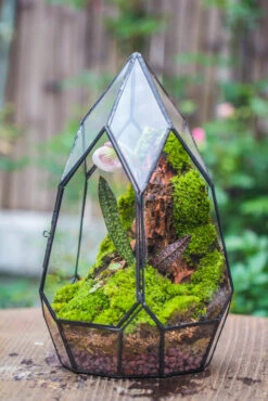 Cliff Terrarium Building DIY Set: Live Moss Cliff TearDrop Close Terrarium With Matching LED Grow Light And Base -Terrarium Plant Hub IMG 8633