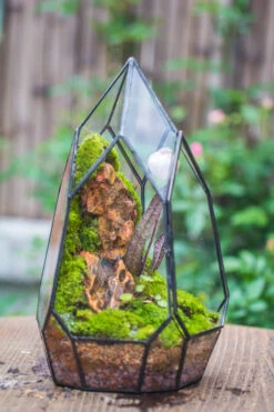 Cliff Terrarium Building DIY Set: Live Moss Cliff TearDrop Close Terrarium With Matching LED Grow Light And Base -Terrarium Plant Hub IMG 8634