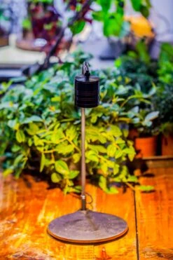 5W Warm White Black LED Grow Light Adjustable With Black Matte Stand, Or Terrarium, Moss, Shade Plants, Multi Size Available Customizable -39cm / 15.4 -Terrarium Plant Hub IMG 8656 f5b755ab f666 422e 8c01 9d516b2df579