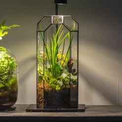 5W Warm White Black LED Grow Light Adjustable With Black Matte Stand, Or Terrarium, Moss, Shade Plants, Multi Size Available Customizable -39cm / 15.4 -Terrarium Plant Hub IMG 8699 431ac83a 2a36 4185 b217 6c75dcdd4f64