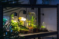 5W Warm White Black LED Grow Light Adjustable With Black Matte Stand, Or Terrarium, Moss, Shade Plants, Multi Size Available Customizable -39cm / 15.4 -Terrarium Plant Hub IMG 8718 08ea701a 04bd 4c52 b135 c65eef9e12d1