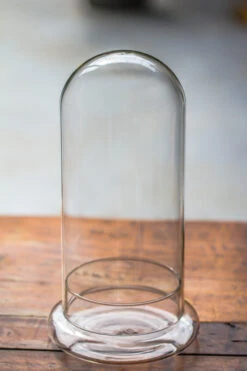 Round Glass Cloche Terrarium 12 Cm Diameter X 26cm Height With Matching Warm White Spot LED Grow Light And Base Set -Terrarium Plant Hub IMG 8755 92686e24 6c86 48df 89ef 1ca4351d9e03