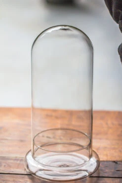 Round Glass Cloche Terrarium 12 Cm Diameter X 26cm Height With Matching Warm White Spot LED Grow Light And Base Set -Terrarium Plant Hub IMG 8756