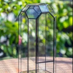 Vintage Tall Octagon Geometric Tin Glass Terrarium , 12.6" , Close, Suitable For Tall Plants, Orchid, Small Begonia Pitcher, Micro Landscape -with White Light Set -Terrarium Plant Hub IMG 8800 4a7be5a5 1875 49a5 a113 96d0cb7ff616
