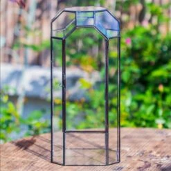 Vintage Tall Octagon Geometric Tin Glass Terrarium , 12.6" , Close, Suitable For Tall Plants, Orchid, Small Begonia Pitcher, Micro Landscape -with Warm Light Set -Terrarium Plant Hub IMG 8804 421f1e18 fc89 4588 87b3 af0cb34172fe