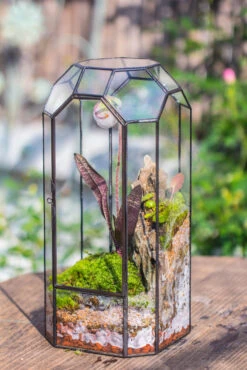 Vintage Tall Octagon Geometric Tin Glass Terrarium , 12.6" , Close, Suitable For Tall Plants, Orchid, Small Begonia Pitcher, Micro Landscape -with Warm Light Set -Terrarium Plant Hub IMG 8816 57204de0 82fe 4785 8296 25188f97bdb7
