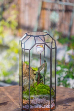 Vintage Tall Octagon Geometric Tin Glass Terrarium , 12.6" , Close, Suitable For Tall Plants, Orchid, Small Begonia Pitcher, Micro Landscape -with White Light Set -Terrarium Plant Hub IMG 8819 a33a266f 32db 4470 817a b67ec456b2a5