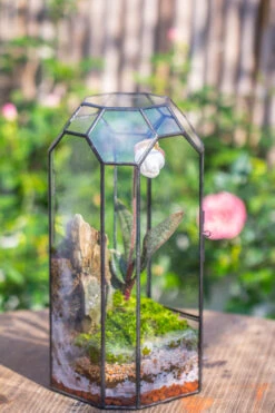Vintage Tall Octagon Geometric Tin Glass Terrarium , 12.6" , Close, Suitable For Tall Plants, Orchid, Small Begonia Pitcher, Micro Landscape -with White Light Set -Terrarium Plant Hub IMG 8820 a08e18fe c13d 470c bcfe 81e4edd5a808