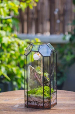 Vintage Tall Octagon Geometric Tin Glass Terrarium , 12.6" , Close, Suitable For Tall Plants, Orchid, Small Begonia Pitcher, Micro Landscape -with Warm Light Set -Terrarium Plant Hub IMG 8828 85a24d83 ccb0 45d8 994c 37dfd7807551