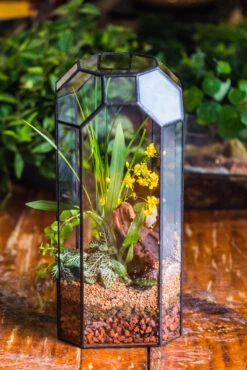 Vintage Tall Octagon Geometric Tin Glass Terrarium , 12.6" , Open, Suitable For Tall Plants, Orchid, Small Begonia Pitcher, Micro Landscape -with Warm Light Set -Terrarium Plant Hub IMG 8852