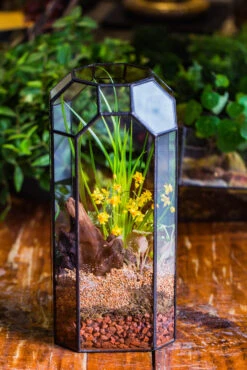 Vintage Tall Octagon Geometric Tin Glass Terrarium , 12.6" , Open, Suitable For Tall Plants, Orchid, Small Begonia Pitcher, Micro Landscape -with Warm Light Set -Terrarium Plant Hub IMG 8854
