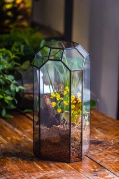 Vintage Tall Octagon Geometric Tin Glass Terrarium , 12.6" , Open, Suitable For Tall Plants, Orchid, Small Begonia Pitcher, Micro Landscape -with White Light Set -Terrarium Plant Hub IMG 8856