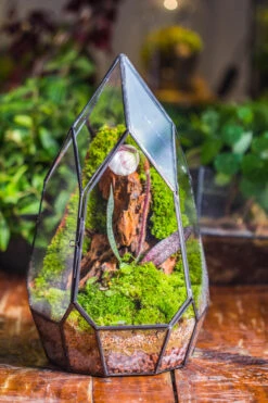 Cliff Terrarium Building DIY Set: Live Moss Cliff TearDrop Close Terrarium With Matching LED Grow Light And Base -Terrarium Plant Hub IMG 8867