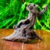 Driftwood For Moss Terrarium, Miniature, Micro Landscape,T8017 -Terrarium Plant Hub IMG 8877 1