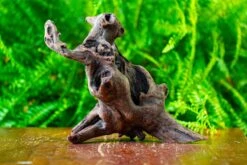 Driftwood For Moss Terrarium, Miniature, Micro Landscape,T8017 -Terrarium Plant Hub IMG 8879 ba899ccf 435b 482f b07f 891f2004beb9