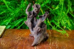 Driftwood For Moss Terrarium, Miniature, Micro Landscape,T8017 -Terrarium Plant Hub IMG 8880 04f97462 f728 466f 8a4f 5ef507f0a82c