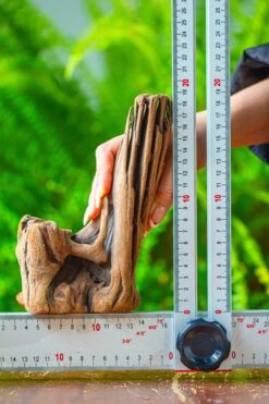 Driftwood For Moss Terrarium, Miniature, Micro Landscape,T8015 -Terrarium Plant Hub IMG 8888