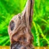 Driftwood For Moss Terrarium, Miniature, Micro Landscape,T8010 -Terrarium Plant Hub IMG 8892 2