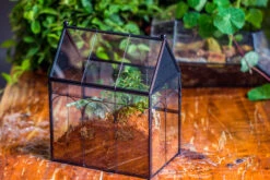 Handmade Terrarium With Light, House Shape Glass Geometric Terrarium With LED Light Set -Terrarium Plant Hub IMG 8893