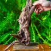 Driftwood For Moss Terrarium, Miniature, Micro Landscape,T8018 -Terrarium Plant Hub IMG 8927 2
