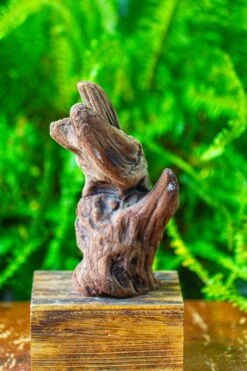 Driftwood For Moss Terrarium, Miniature, Micro Landscape,T8006 -Terrarium Plant Hub IMG 8932