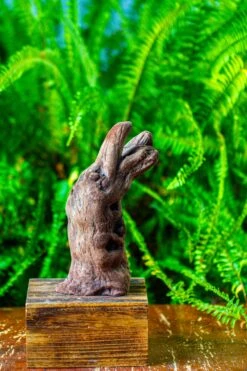 Driftwood For Moss Terrarium, Miniature, Micro Landscape,T8006 -Terrarium Plant Hub IMG 8934 8b8aefc7 796a 4d2f a196 753b036d3854
