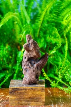 Driftwood For Moss Terrarium, Miniature, Micro Landscape,T8006 -Terrarium Plant Hub IMG 8935