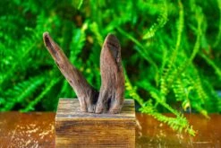 Driftwood For Moss Terrarium, Miniature, Micro Landscape,T8016 -Terrarium Plant Hub IMG 8939