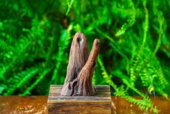 Driftwood For Moss Terrarium, Miniature, Micro Landscape,T8016 -Terrarium Plant Hub IMG 8940