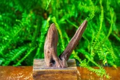 Driftwood For Moss Terrarium, Miniature, Micro Landscape,T8016 -Terrarium Plant Hub IMG 8941