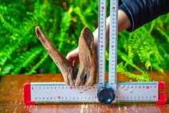 Driftwood For Moss Terrarium, Miniature, Micro Landscape,T8016 -Terrarium Plant Hub IMG 8942