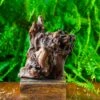 Driftwood For Moss Terrarium, Miniature, Micro Landscape,T8009 2 Driftwood For Moss Terrarium, Miniature, Micro Landscape,T8009 -Terrarium Plant Hub IMG 8952 3