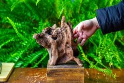 Driftwood For Moss Terrarium, Miniature, Micro Landscape,T8009 -Terrarium Plant Hub IMG 8954