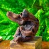 Driftwood For Moss Terrarium, Miniature, Micro Landscape,T8012 -Terrarium Plant Hub IMG 8965 2