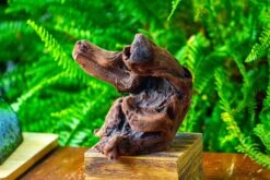 Driftwood For Moss Terrarium, Miniature, Micro Landscape,T8012 -Terrarium Plant Hub IMG 8965