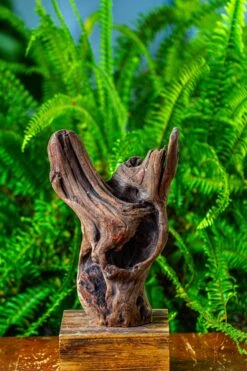 Driftwood For Moss Terrarium, Miniature, Micro Landscape,T8007 -Terrarium Plant Hub IMG 8987 54b85a3a b9d2 49a4 98cb 319a0c3c1c91